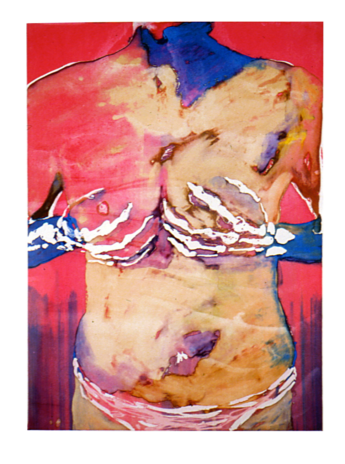 Fascist Panties, 2000
