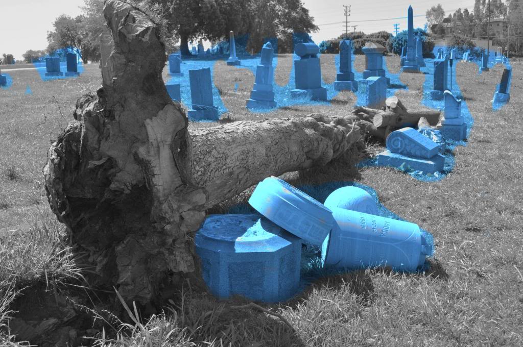 Cemetery, 2007