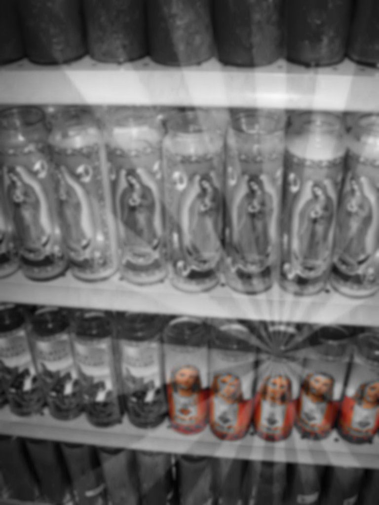 Botanica, 2009